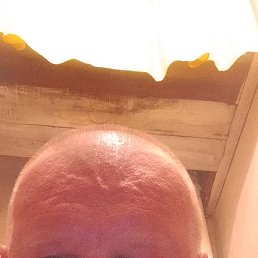 , 41, 