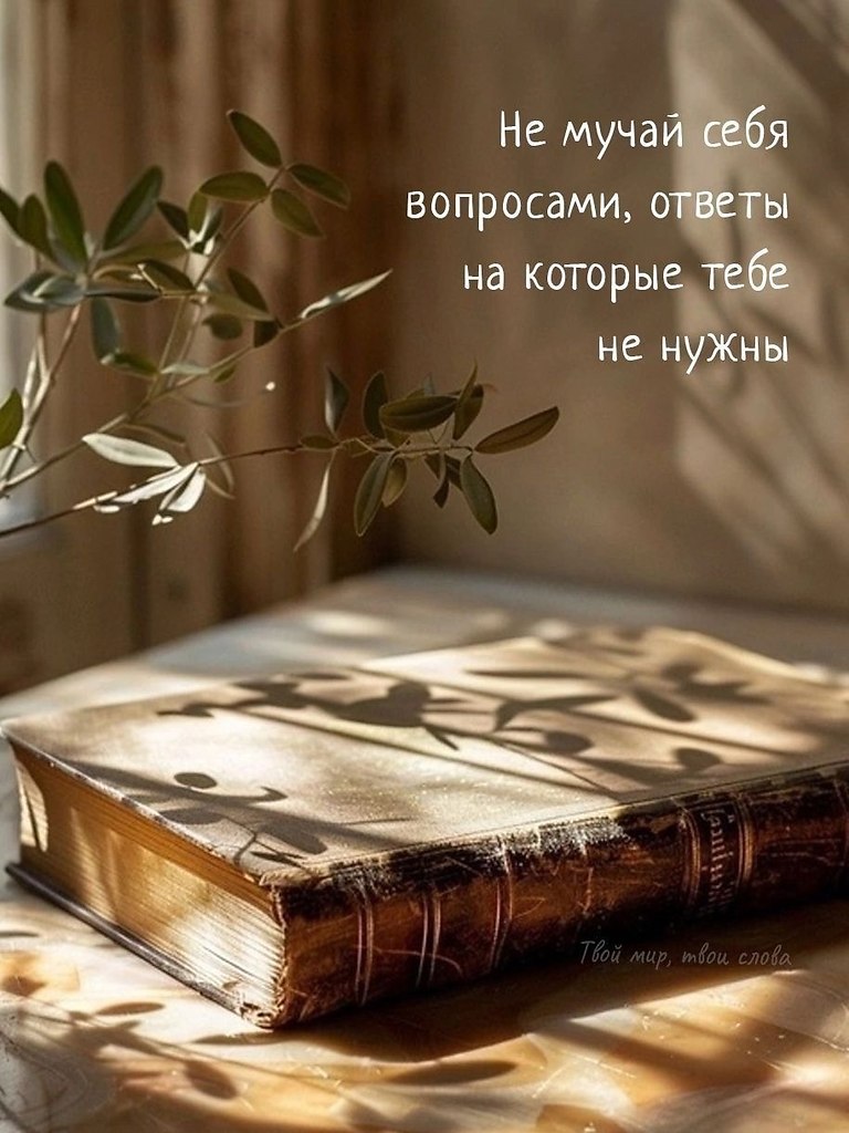   - 3  2025  12:21