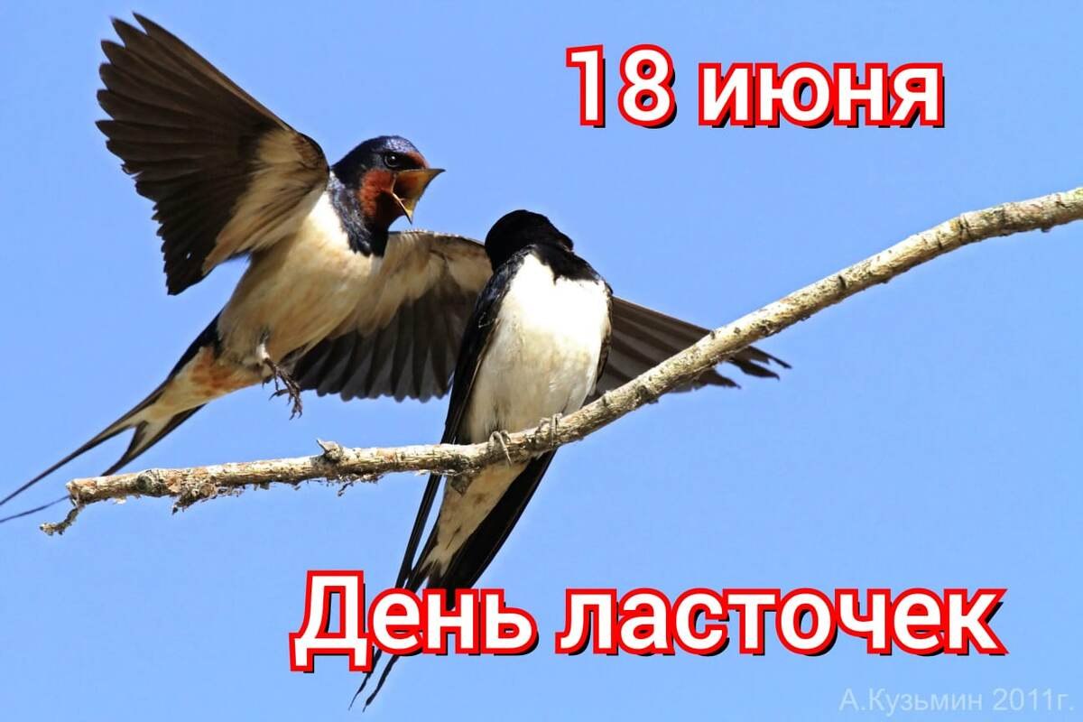 : , , , , , , , ,  - 6