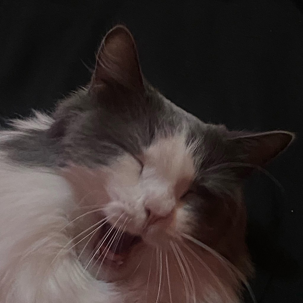 :     
