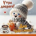 ���� ������, ������, 61 ��� - ��������� 12 ������� 2026 � ������ ������ ��������