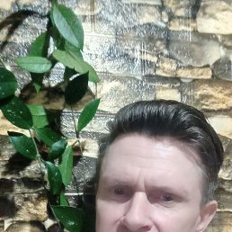 , 53 , 