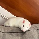 ���� ���������, ������ 2 - ��������� 7 ������� 2025 � ������ ������ ��������