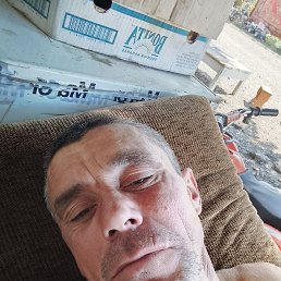 , 42, 