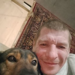 ���� ������, �����-���������, 48 ��� - ��������� 8 ������� 2026