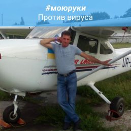 , 61, 