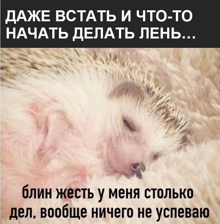   - 11  2024  17:11