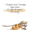 ���� ��!, ���������� �����, 40 ��� - ��������� 26 ������� 2024