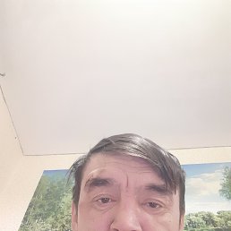 �������, 38 ���, ������