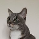 ���� ����, ���� - ��������� 14 ������ 2025 � ������ ������ ��������