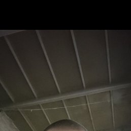 ���������, 42 ����, ��������