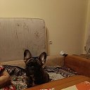 ���� �, �����, 50 ��� - ��������� 21 ������� 2024 � ������ ���� ����������