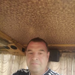 , 56 , 