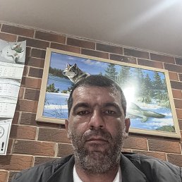 , 43, 