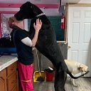 ���� �������, ����, 48 ��� - ��������� 17 ���� 2024 � ������ ���� ����� ������ ������ � ����!�