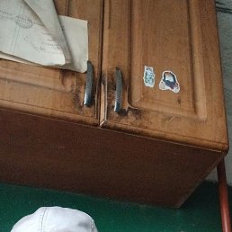 , , 54 