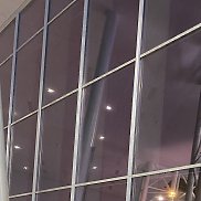 ���������, 39 ���, ������