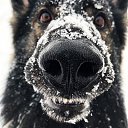 ���� ���������, ��������, 36 ��� - ��������� 26 ������� 2023 � ������ ���� ����������