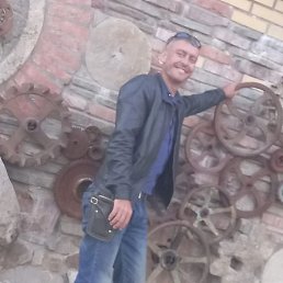 ����, ������-��-����, 43 ����