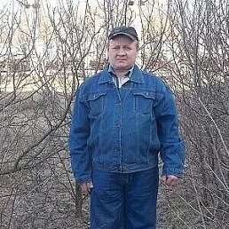 , 50, 