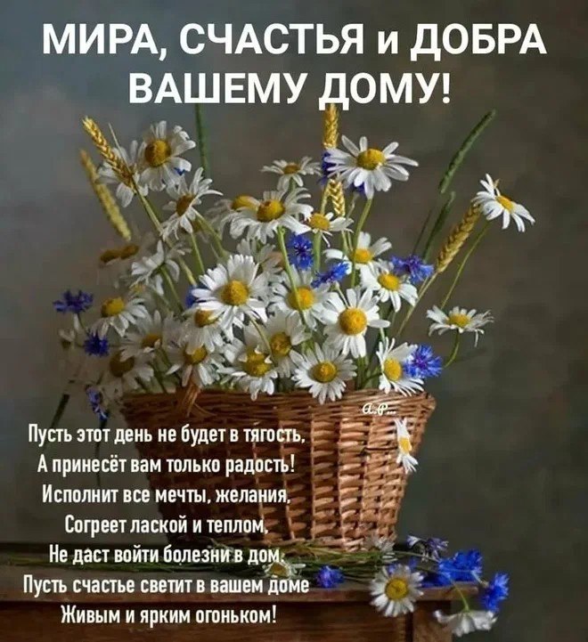   - 5  2025  11:56