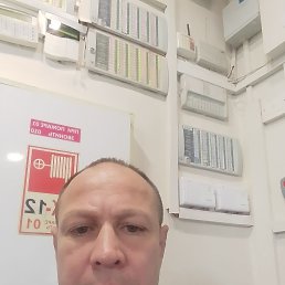 , 53, 