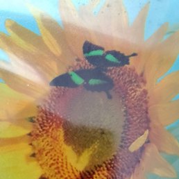 ���� �����, ������, 48 ��� - ��������� 17 ����� 2026