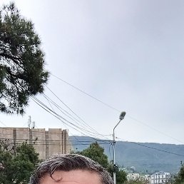 , 37, 