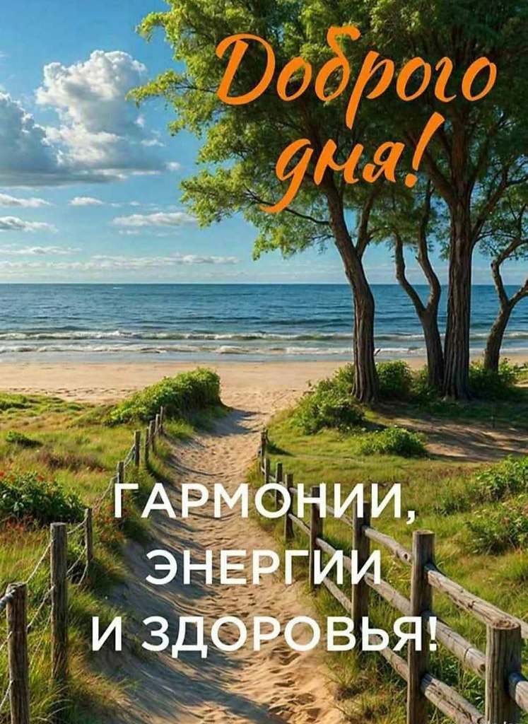   ,    . - 29  2025  14:27 - 5
