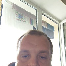 , 33, 