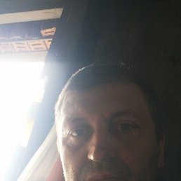 , 41, 