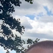 ���������, 45 ���, �����