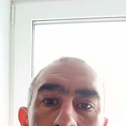 ������, �������, 40 ���