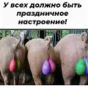���� ���������, ��������, 55 ��� - ��������� 21 ������� 2024 � ������ ���� ����������
