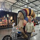���� ��������, �����������, 58 ��� - ��������� 8 ���� 2026 � ������ ���� ����������
