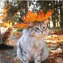 ���� ������, ��������, 65 ��� - ��������� 3 ������ 2023