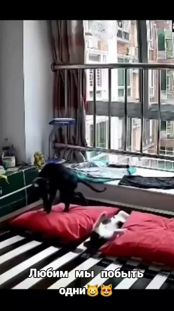 ��� ����� ��������� ������ �� �������� - 2