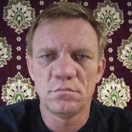 �������, �������, 46 ���