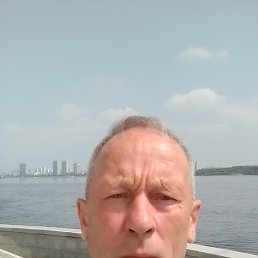 , 61 , 