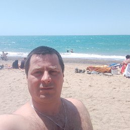 , 37, 