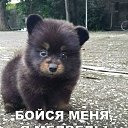 ���� �������, �����, 55 ��� - ��������� 1 ������� 2025 � ������ ������ ��������
