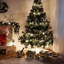 ���� ����, ������ - ��������� 8 ������ 2024 � ������ ������ ��������