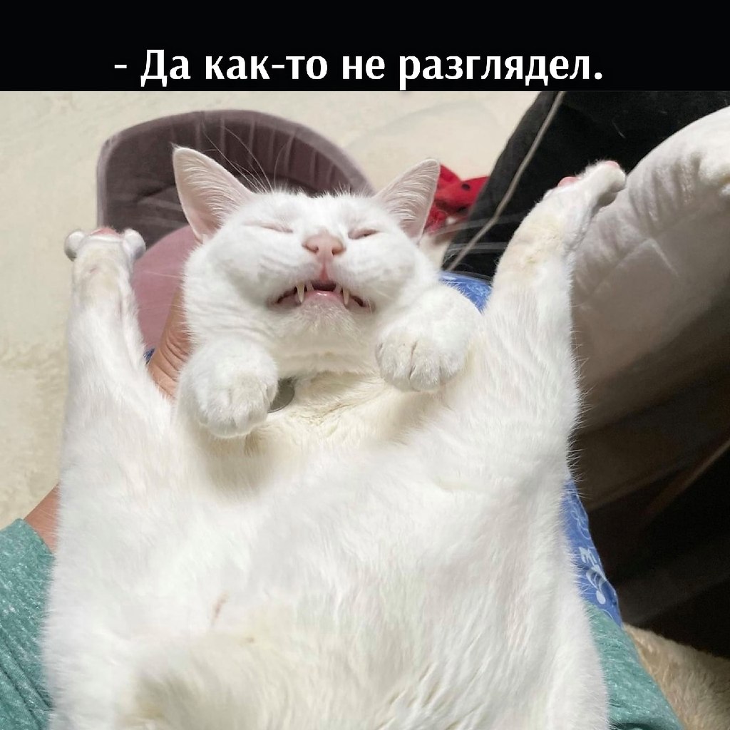 => - 5
