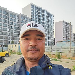 , 44, 