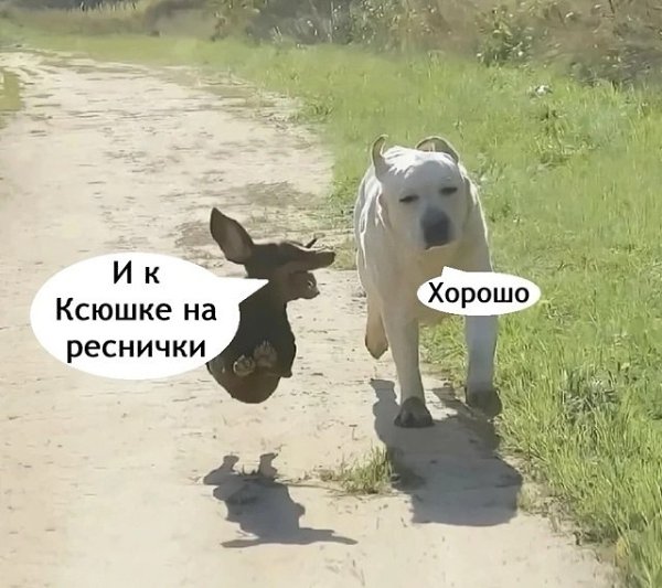  ..  ! - 4