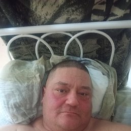 ������, 41 ���, �����������