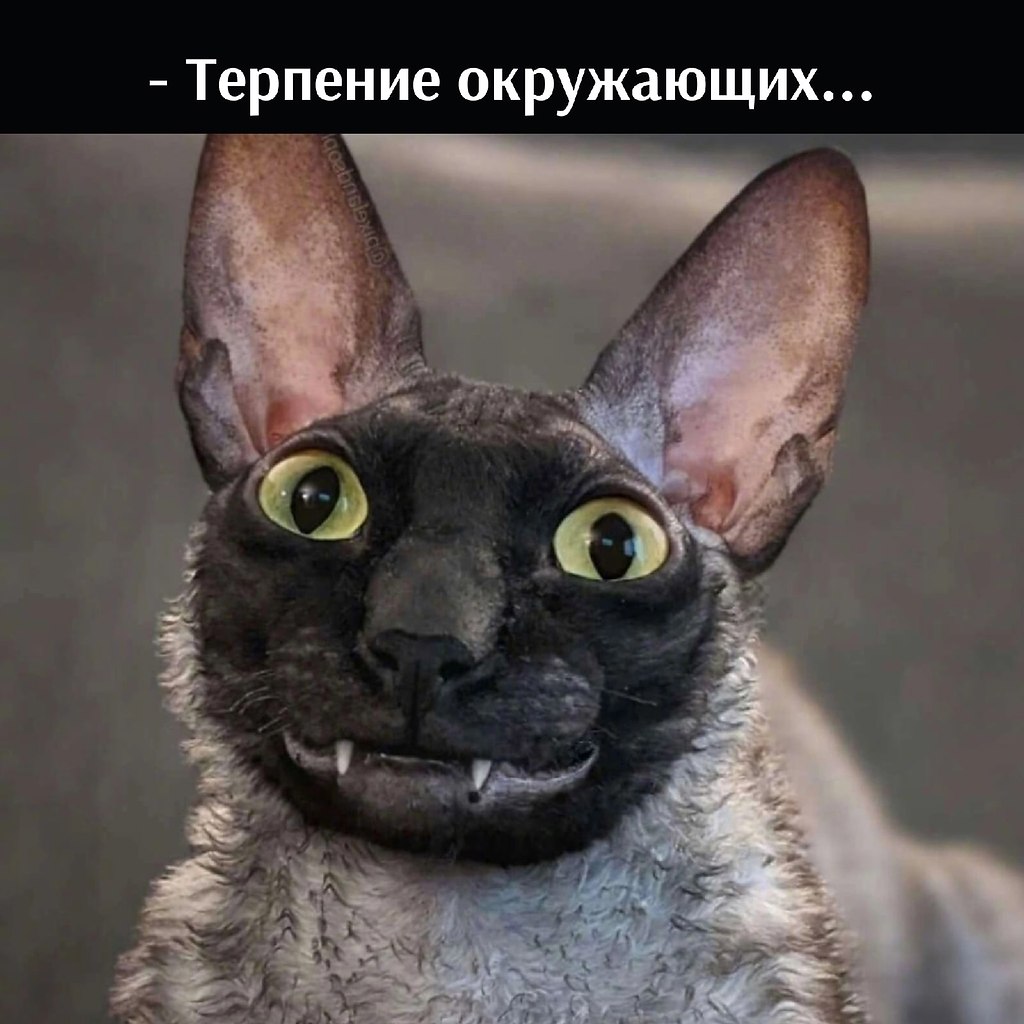      - 7  2025  16:58 - 4