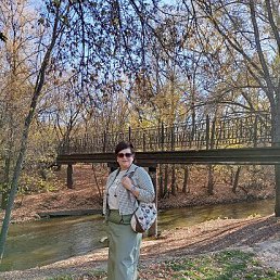 , 54, 