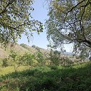  , , 70  -  18  2023   2923 