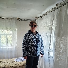 ���, 43 ����, ������